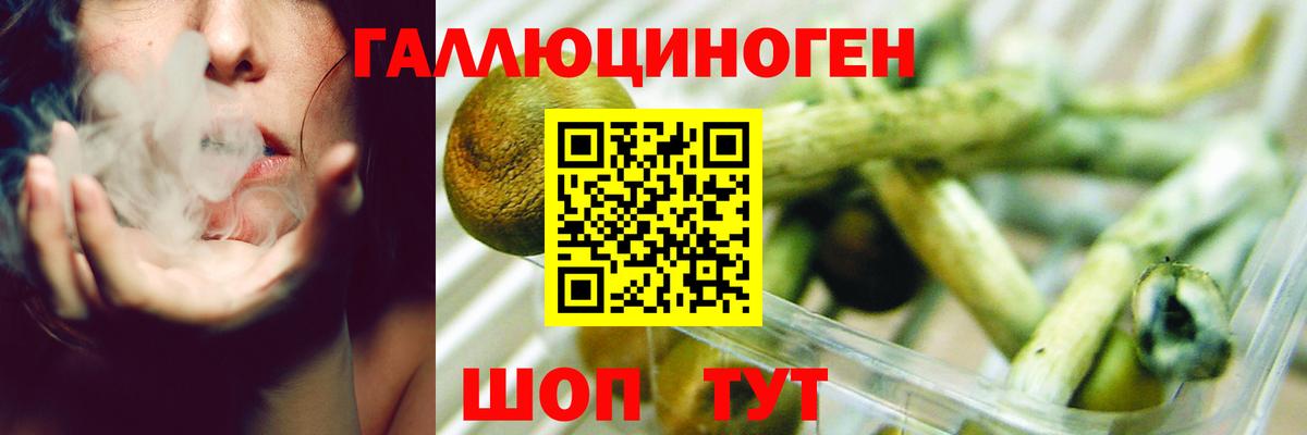 Псилоцибиновые грибы Magic Shrooms  Вход с VPN  Аксай 