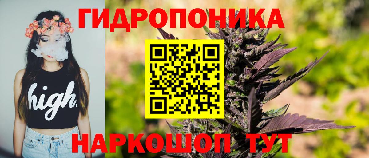 Бошки марихуана SATIVA & INDICA  МАРИХУАНА семена  Аксай  Вход с VPN  Бошки марихуана AK-47  Бошки Шишки Bruce Banner 